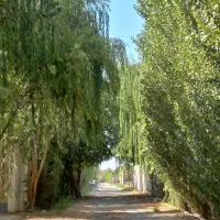 زمین  آماده ساخت ۷۰۰تهراندشت/ سهیلیه/ نمکلان|فروش زمین و ملک کلنگی|هشتگرد, تهران دشت|دیوار