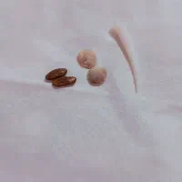 ارسال به تمام کشور