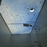 نصاب سقف های کاذب هستم|خدمات پیشه و مهارت|قم, بنیاد|دیوار