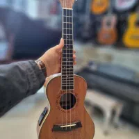 فروش انواع گیتار یوکله له پیکاب دار و ساده