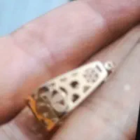 گوشواره طلا