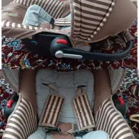 کریر مارک دلیجان