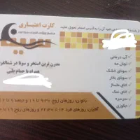 کارت استخر