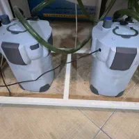 اکواریوم کامل ریملس ۳۲۰ لیتری|ماهی|گرگان, |دیوار