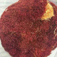 زعفران اصل قاینات با ضمانت (فروشنده کشاورز)