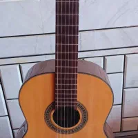 گیتار سانچز (درحدو کم کار)