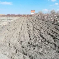 شخم زنی علف زنی باغ باغچه|خدمات باغبانی و درختکاری|ارومیه, |دیوار