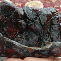 فروش خرمای کبکاب درجه یک