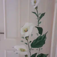 نقاشی و خط دیواری صفاپور|خدمات پیشه و مهارت|سبزوار, کاشفی شمالی (دادگستری)|دیوار