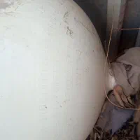 کپسول گاز cng|قطعات یدکی و لوازم جانبی|یزد, |دیوار