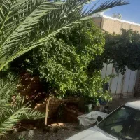 فروش خانه ویلایی ۴۳۰ متری ۳ خوابه در دولت آباد|فروش خانه و ویلا|مرودشت, دولت آباد|دیوار
