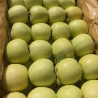 سیب شیرین و آبدار