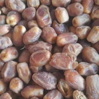 قصب درجه یک عالی|خوردنی و آشامیدنی|وحدتیه, |دیوار