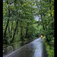 اتاق سویت دارای کولر پارکینگ حمام نزدیک دریا ساحلی|اجارهٔ کوتاهمدت ویلا و باغ|رشت, گیل|دیوار