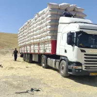 کاه گندم و لوبیا