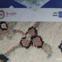 کارت بانکی بنام رضاسرلک پیداشده