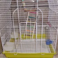 قفس پرنده