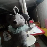 موشوبو نونو