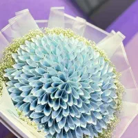 انواع باکس گلهای زیبا|گل مصنوعی|کرمان, |دیوار