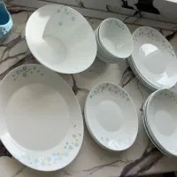 سرویس آرکوپال خارجی نونو