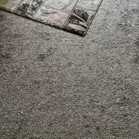 موکت پرزدار