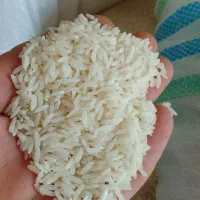 برنج طارم هاشمی سرلاشه و نیم دونه|خوردنی و آشامیدنی|نوشهر, |دیوار