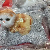 عروسک گربه موزیکال|اسباب‌‌بازی|اسلام‌شهر, شهرک سعیدیه|دیوار