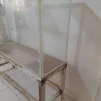 آکواریوم|ماهی|سهند, |دیوار