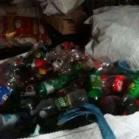 پت وکارتن فروشی