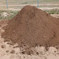 کود حیوانی گوسفندی(پهن)