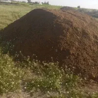 کود حیوانی گوسفند چند ساله|خدمات باغبانی و درختکاری|اهواز, زرگان|دیوار