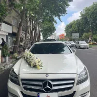 اجاره ماشین عروس بنز الهه زیبایی