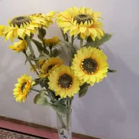 وسایل های دکوری سالم زیبا