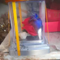 تعدادی گل دکوری