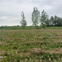 یک هکتار شالی سنتی چ به 400م مسکونی کد07