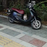 موتورفیدل کلاسیک