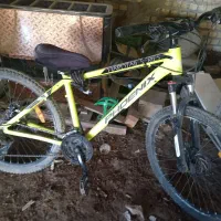 دوچرخه|دوچرخه، اسکیت، اسکوتر|سپیدان, |دیوار