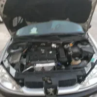 پژو۲۰۶ دوگانه کارخانه|خودرو سواری و وانت|بندرعباس, |دیوار