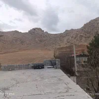 دامداری-دو-بر-نزدیک-شهر-جاده-کامیاران