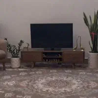 تلویزیون فروخته می‌شود تکی
