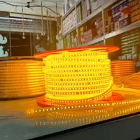 نورمخفی ریسه شلنگی انبه ای|ریسه و چراغ تزئینی|ملایر, |دیوار