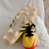 کفش فوتبالی|کیف، کفش، کمربند|دماوند, گیلاوند|دیوار