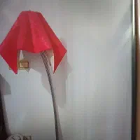 آباژور کاملا سالم
