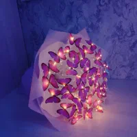 بوکت پروانه ای|ریسه و چراغ تزئینی|ارومیه, |دیوار