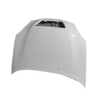 کاپوت و گلگیر تیبا سفید|قطعات یدکی و لوازم جانبی|ایلام, |دیوار