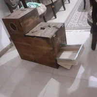 لانه طوطی سانان