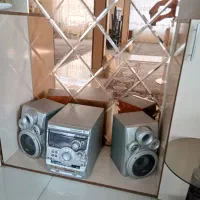 ضبط و سینما خانواده