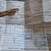دستبند طلا|جواهرات|فردیس, شهرک وحدت|دیوار