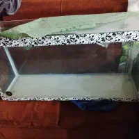 اکواریوم سالم