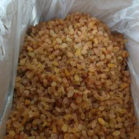 خدمات شستشو و بسته بندی انواع کشمش|ماشین‌آلات صنعتی|بناب, |دیوار